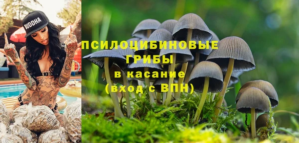 шишки Анива